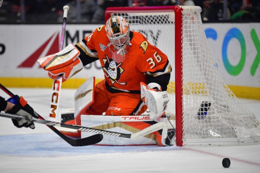 Anaheim Ducks 2025 Trade Deadline Moves A Push for the Playoffs NHL Rumors